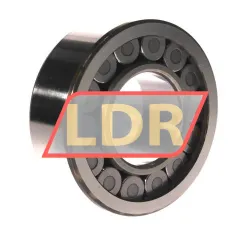 SKF NJG2313VH/C3 rulman resim 2
