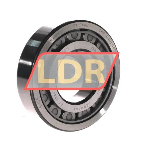 SKF NUP311ECJ