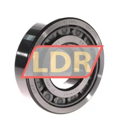 SKF NUP311ECJ