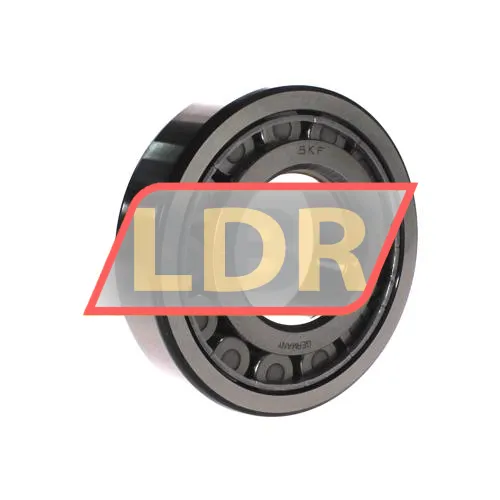 SKF NUP313ECJ ürün fotoğrafı 2