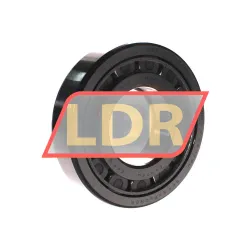 SKF NUP313ECJ