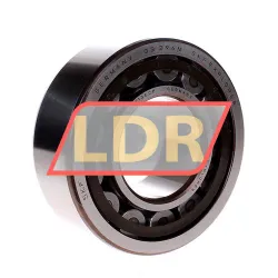 SKF NU2313ECP