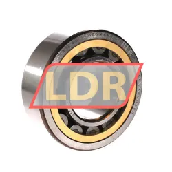 SKF NU2313ECML