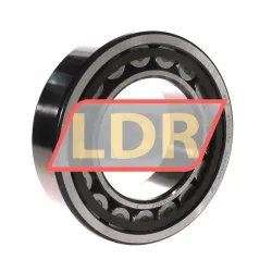 SKF NU2219ECP