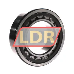 SKF NU2219ECP rulman resim 2