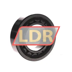 SKF NU2213ECP