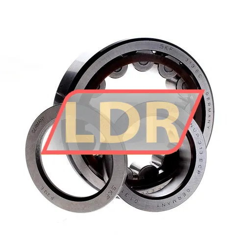 SKF NUP313ECP ürün fotoğrafı 2