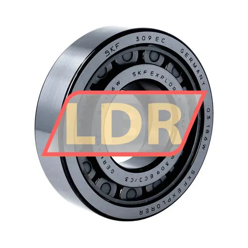 SKF NUP309ECJ/C3
