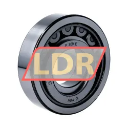 SKF NUP309ECJ/C3 rulman resim 2