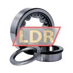 SKF NUP309ECJ/C3 rulman resim 3