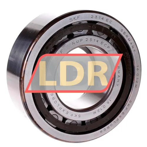 SKF NUP2314ECP