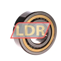 SKF NJ2313ECML/C3