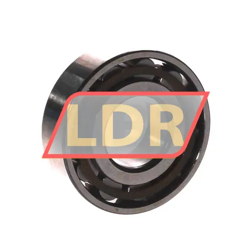 SKF N204ECP ürün fotoğrafı 2