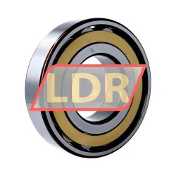 SKF N317ECM/C3 rulman resim 2