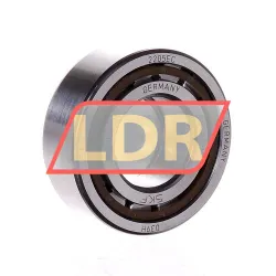 SKF NUP2205ECP