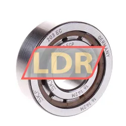 SKF NJ203ECP