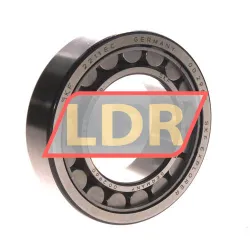 SKF NU2211ECJ/C3