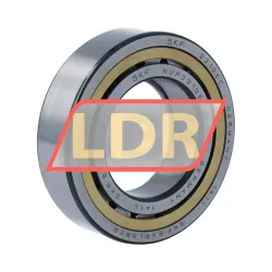 SKF NUP2210ECML/C4