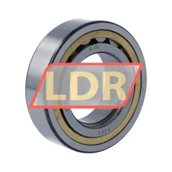 SKF NUP2210ECML/C4 rulman resim 2
