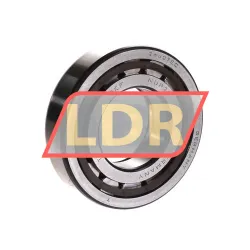 SKF NUP207ECP