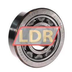 SKF NU410/C3