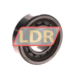 SKF NU205ECP/C3