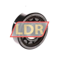 SKF NU204ECP/C3