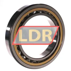 SKF NU1022ML/C3 rulman resim 2