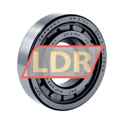 SKF NUP208ECJ