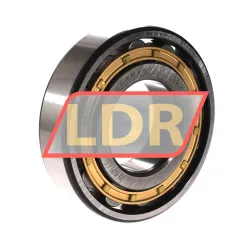 SKF N312M/P63