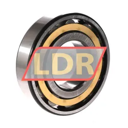 SKF N312M/P63 rulman resim 2