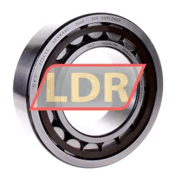 SKF NU2224ECP