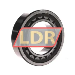 SKF NU2215ECP