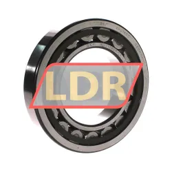 SKF NU218ECP/C3