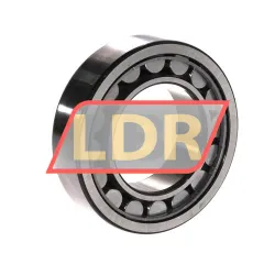 SKF NU2210ECJ/C3 rulman resim 2