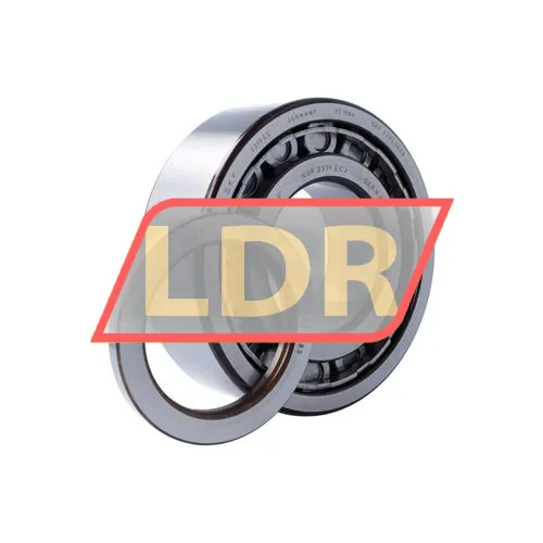 SKF NUP2319ECJ