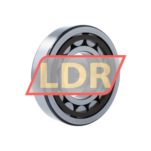 SKF NUP316ECP ürün fotoğrafı 2