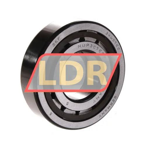 SKF NUP307ECP