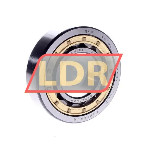 SKF NU309ECM/C3