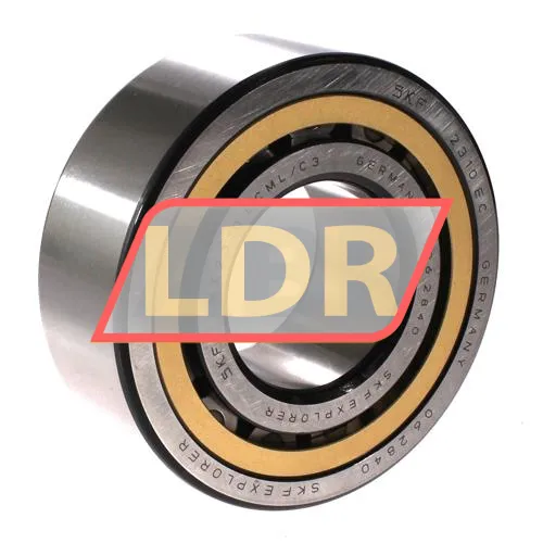 SKF NJ2310ECML/C3
