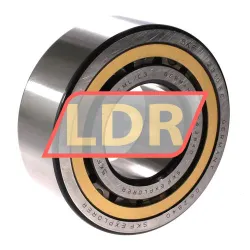 SKF NJ2310ECML/C3
