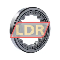 SKF RNU220ECJ
