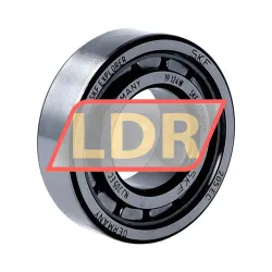 SKF NJ205ECJ