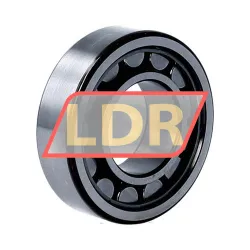 SKF NJ205ECJ rulman resim 2