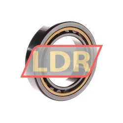 SKF NU1010ML rulman resim 2