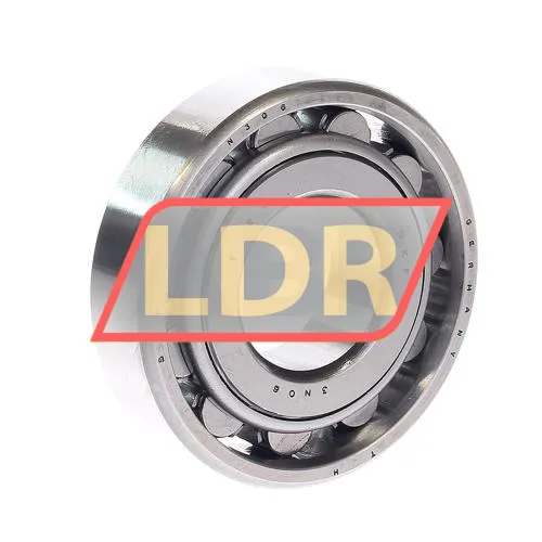 SKF N306