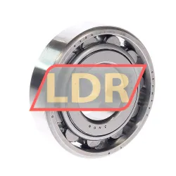 SKF N306