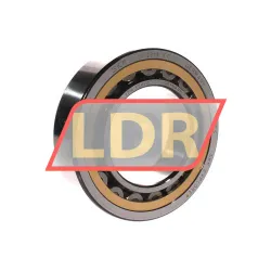 SKF NU2214ECML/C3