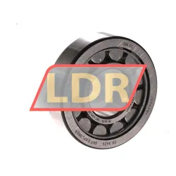 SKF NU1013ML