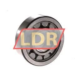 SKF NU1013ML rulman resim 2
